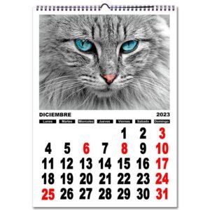 A3 Calendario personalizado con fotos pared NÚMEROS A3