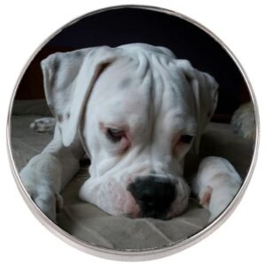 Imán nevera personalizado con fotos redondo